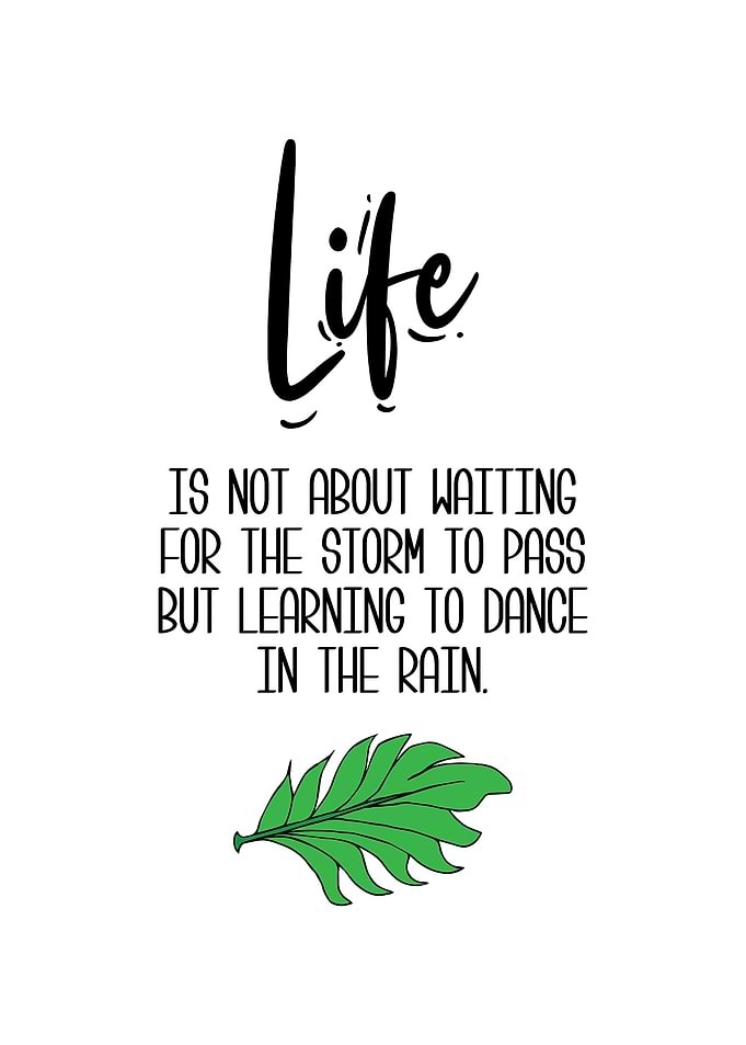 Life In The Rain Artwork