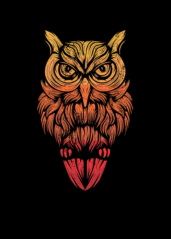 Eule Eulen Owl