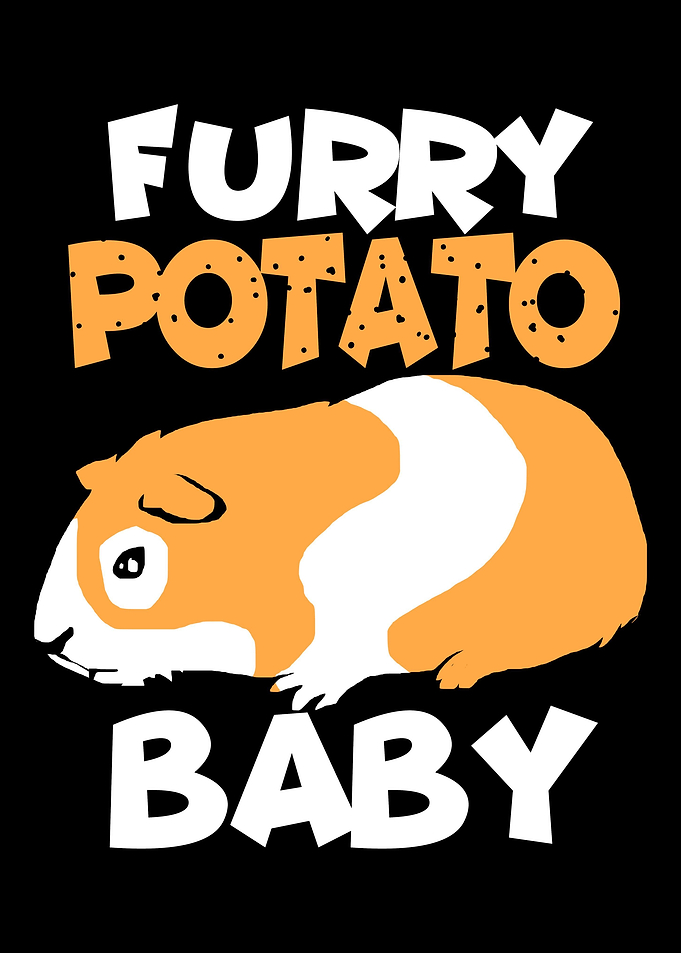 Guinea Pig Potato Baby