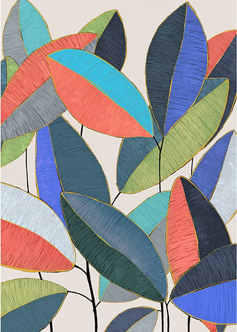 ficus leaves