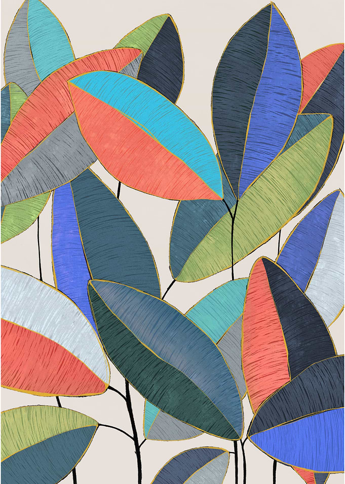 ficus leaves