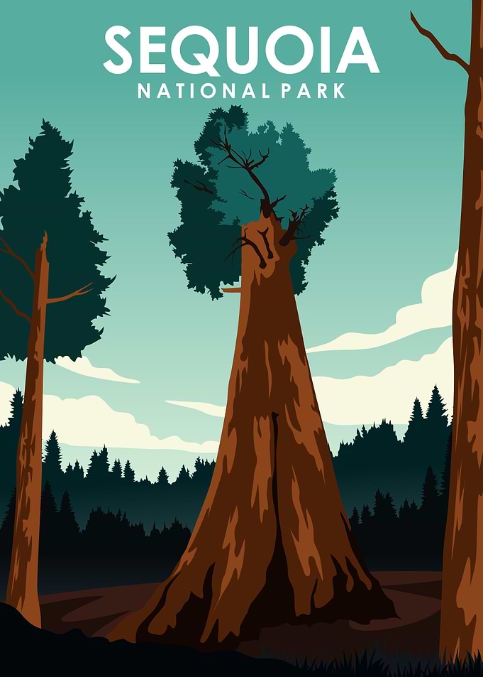 Sequoia National Park