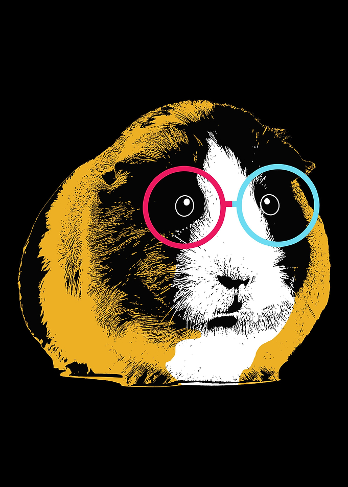 Guinea Pig Sunglasses
