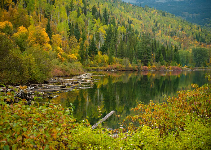 Colorful Fall Reflections