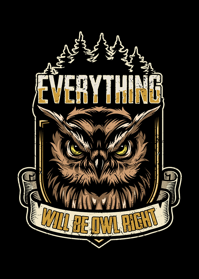 Eule Eulen Owl