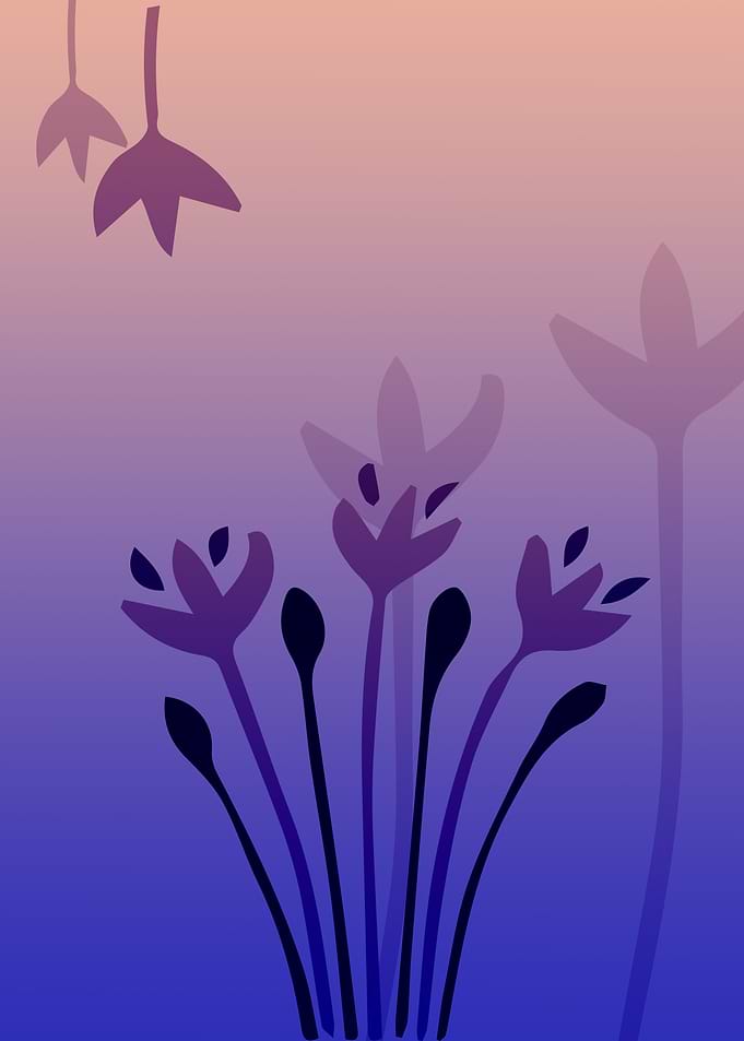 Flowers and Neon