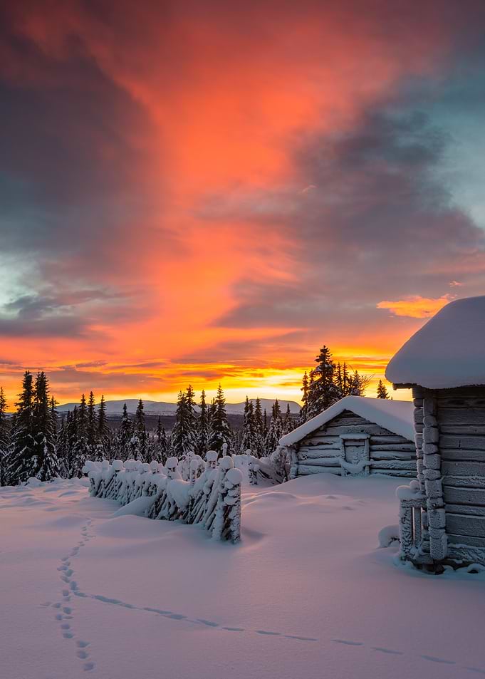 Sunrise