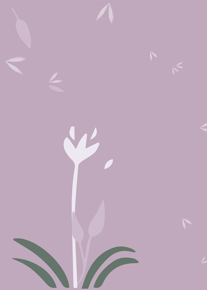 Flower and Seeds