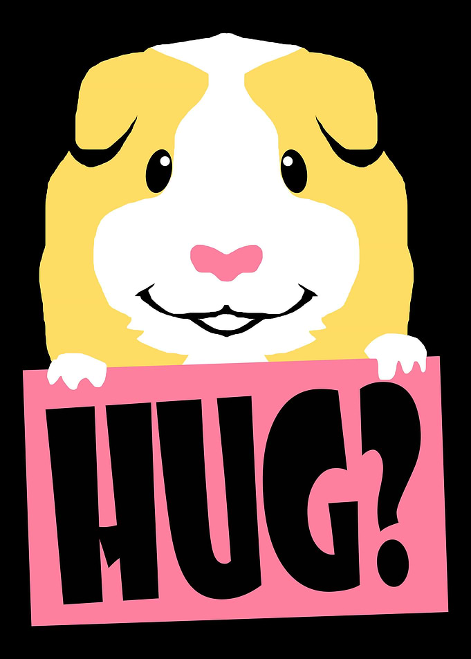 Guinea Pig Hug Cavy