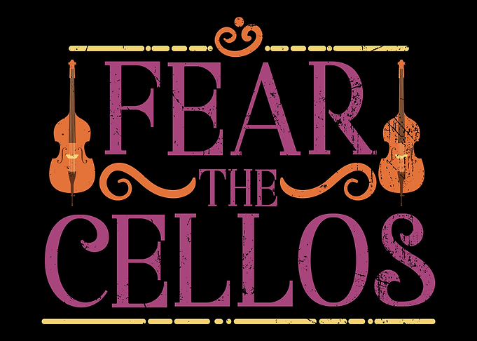 Cello Violoncellist Player