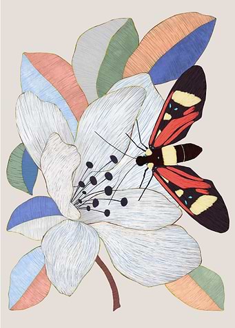 Magnolias and insects
