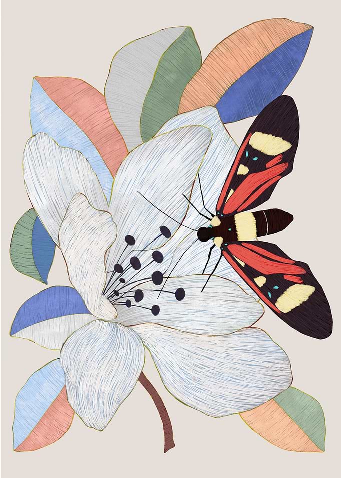 Magnolias and insects