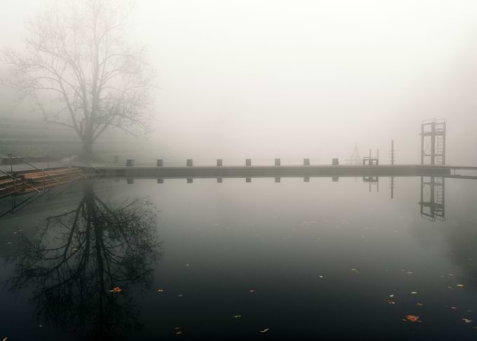 Fog