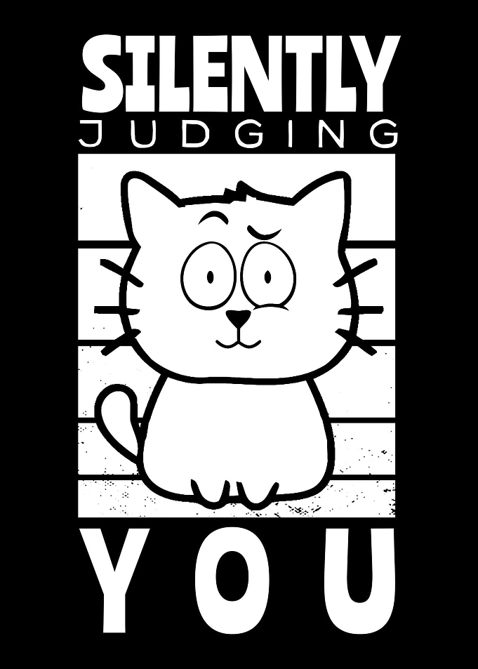 Naughty cat gift