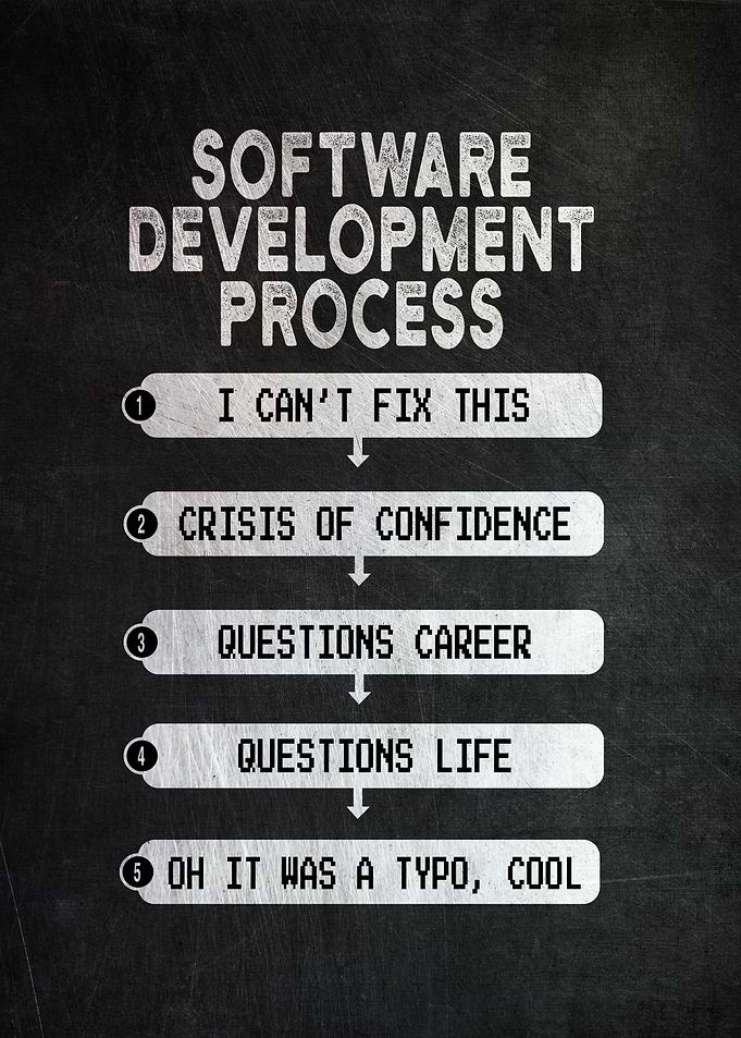 Software Developer