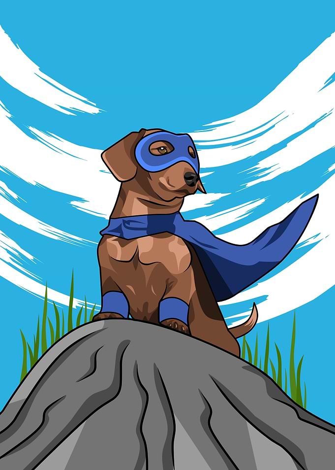 Super Cute Dog