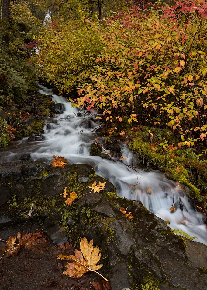 Wahkeena Autumn