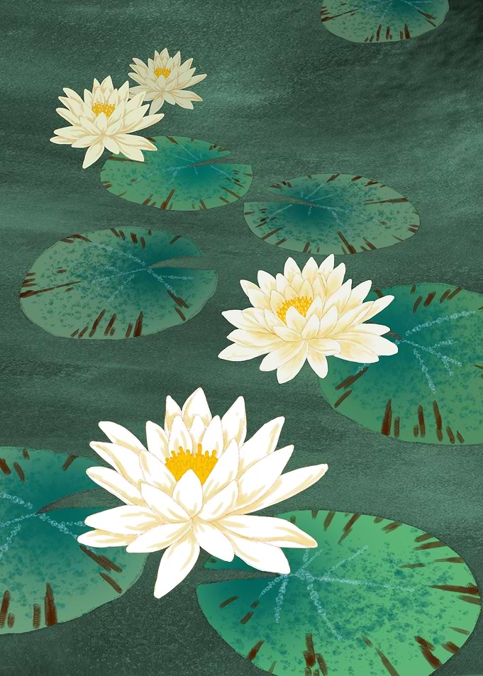 4 Waterlillies