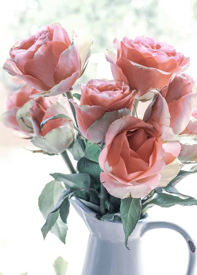 Rose Bouquet