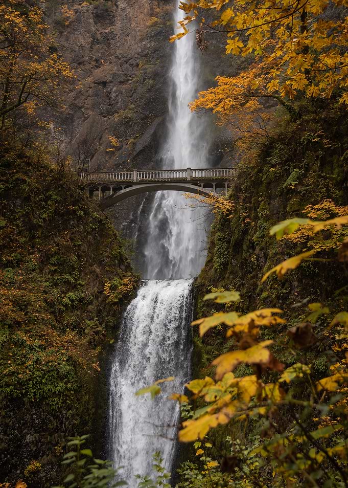 Multnomah Autumn