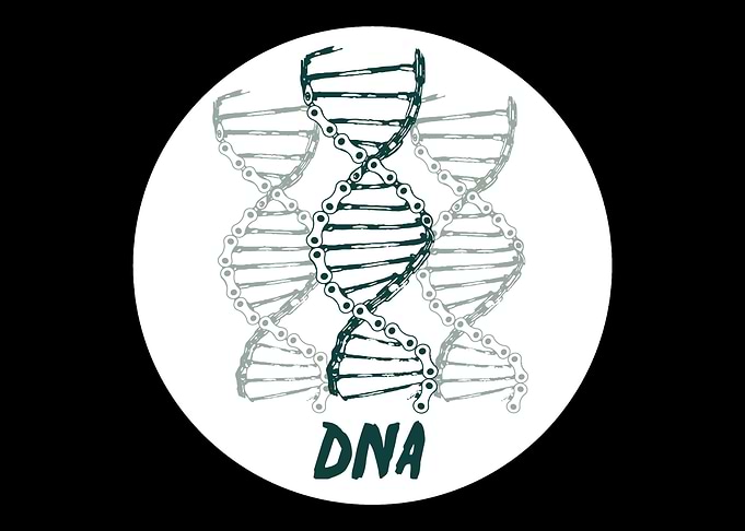 DNA Hobby Love Biker And R