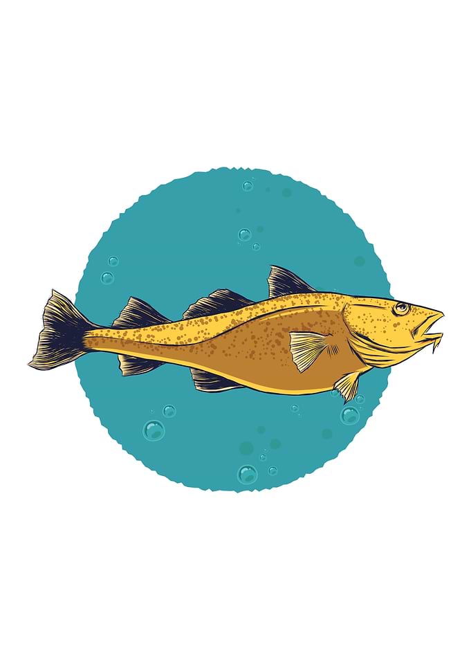 Cod Fish Fishing Gift