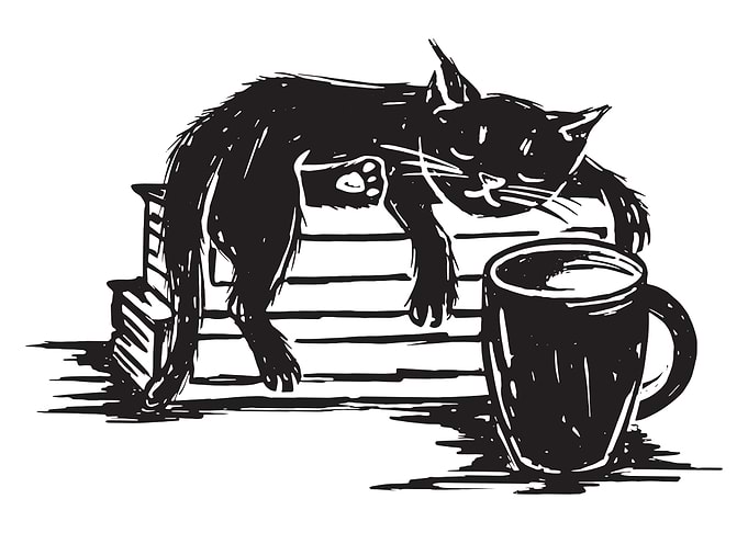 Sleeping Cat