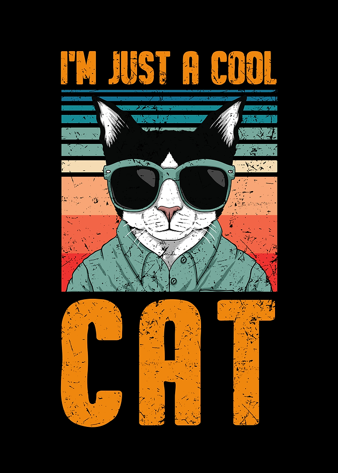 Katze Kater 3