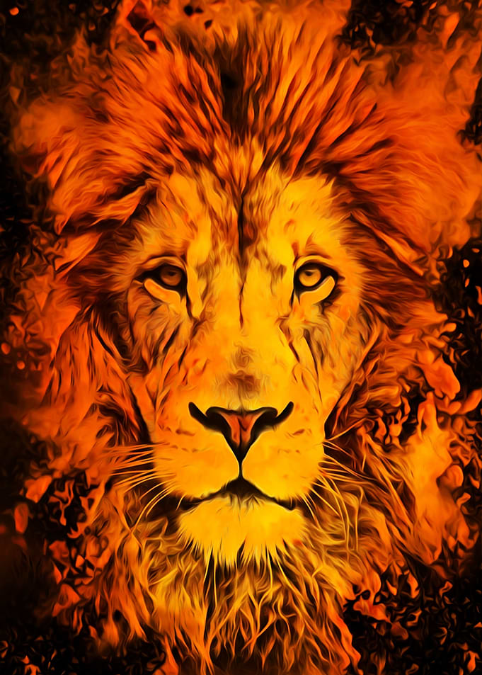Lion Portrait