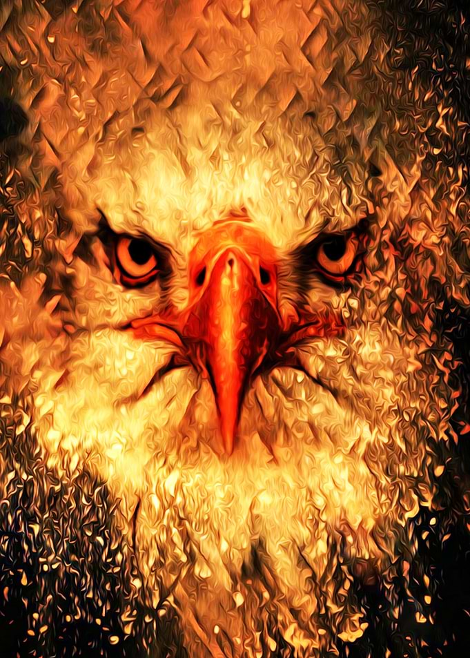 Eagle Portrait