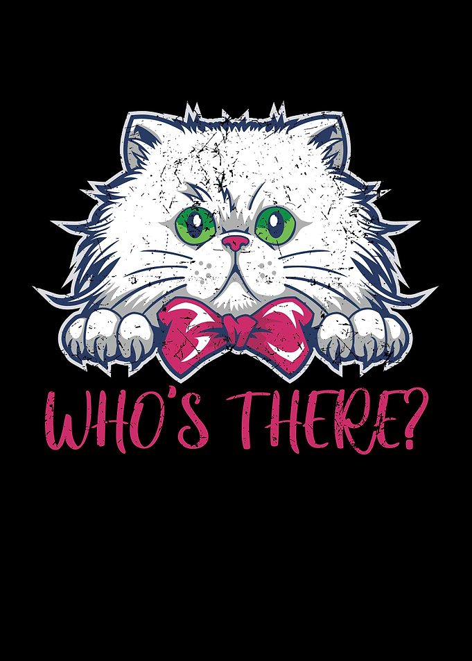 Katze Kater 1