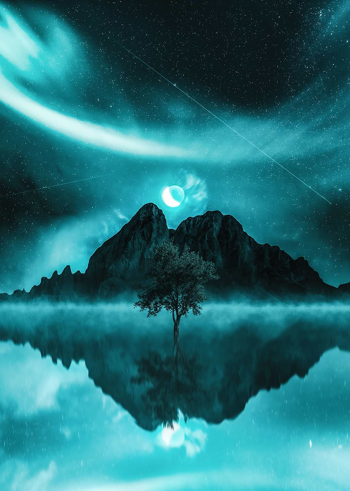 Midnight Tree
