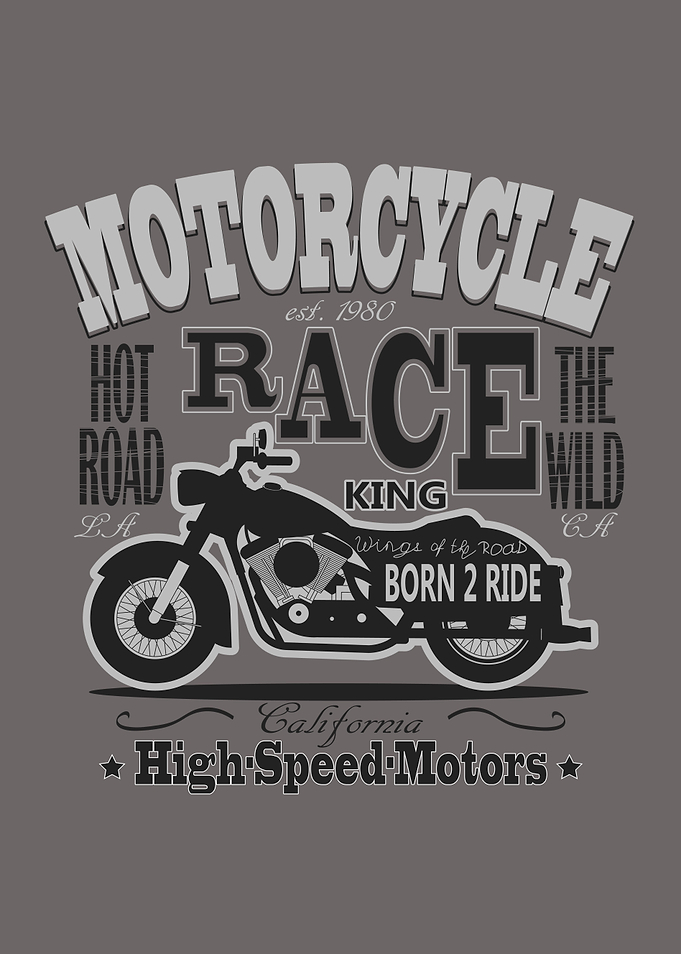 Motorcycle Race
