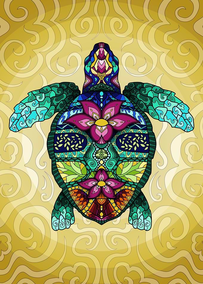 Turtle Sage