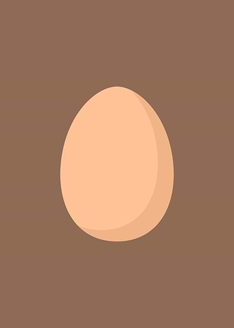 Chicken egg