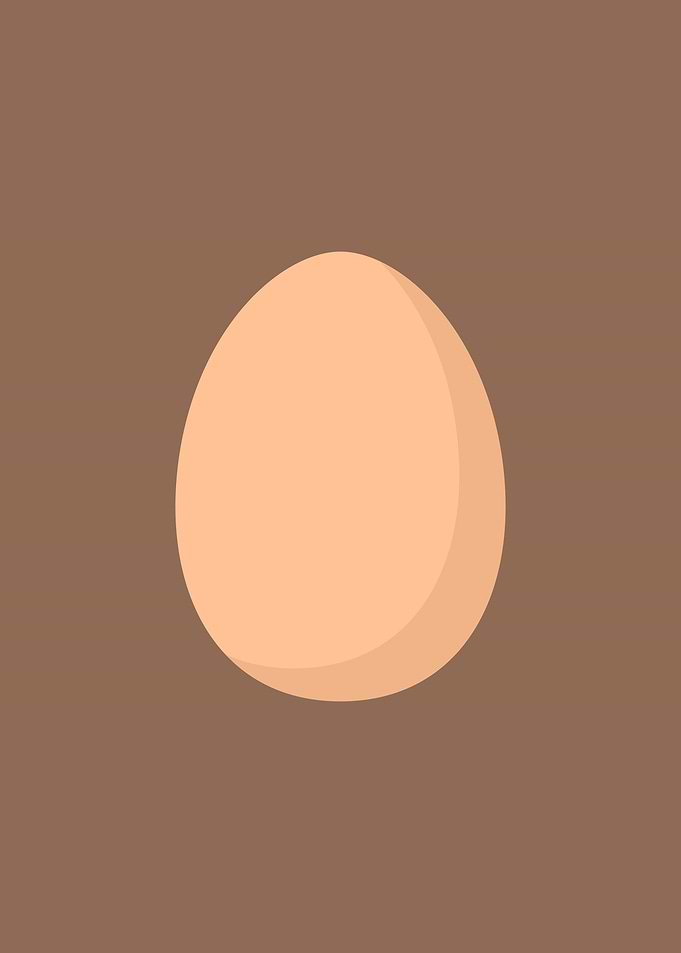 Chicken egg
