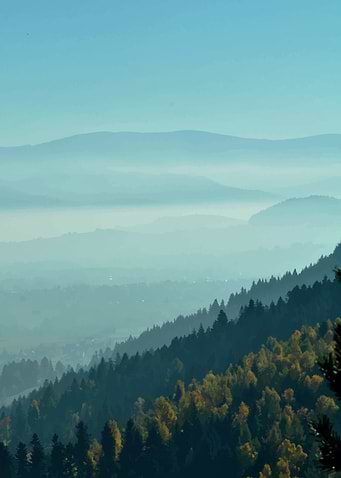 Foggy mountains and forest