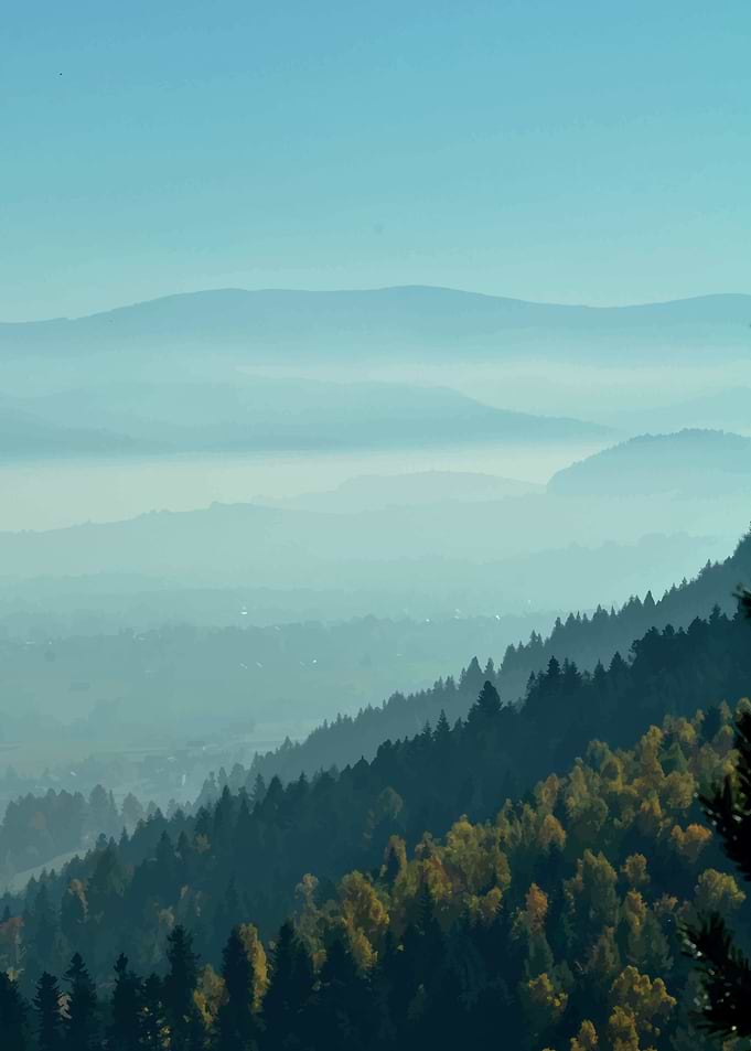 Foggy mountains and forest