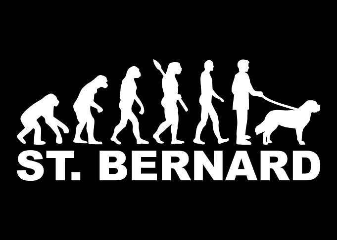 Saint Bernard