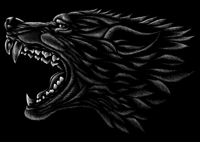 Wolf Animal
