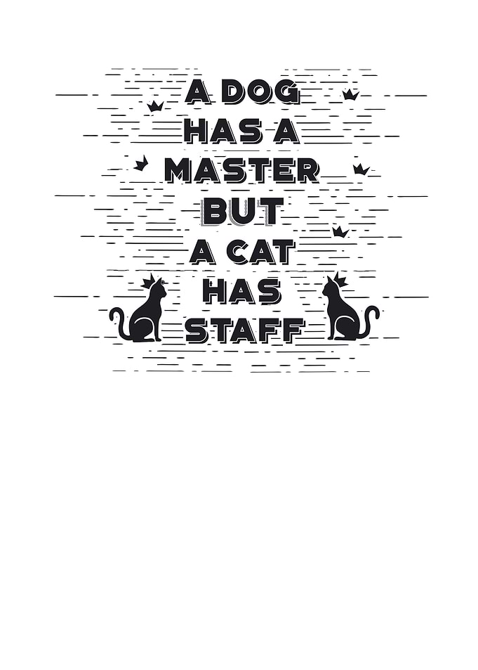 A cat has stuff