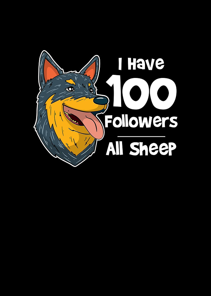 I Have 100 Followers All