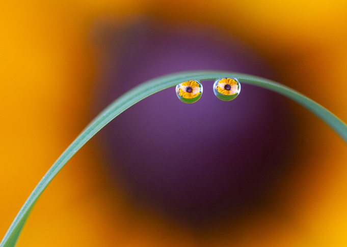 Mr Smiley