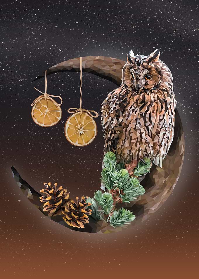 Longeared owl