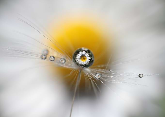 Drop of sun