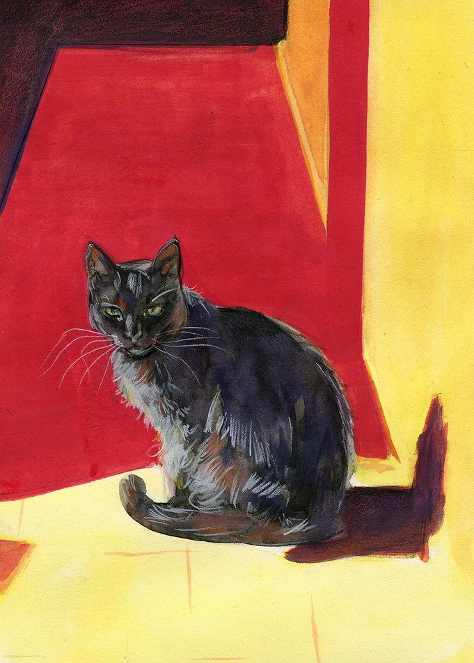 Black Cat
