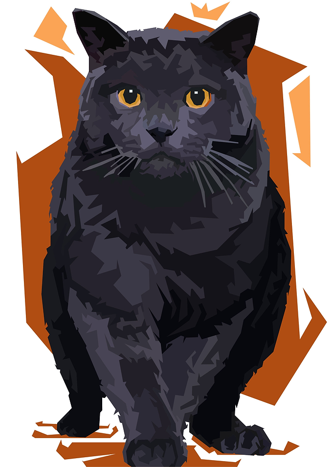 black cat