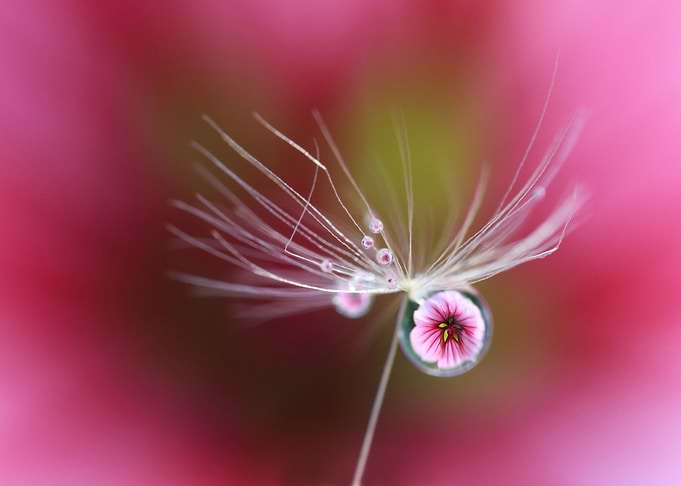 Drop of season