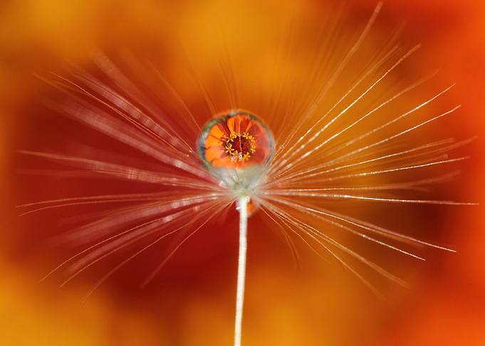 Water power Orange