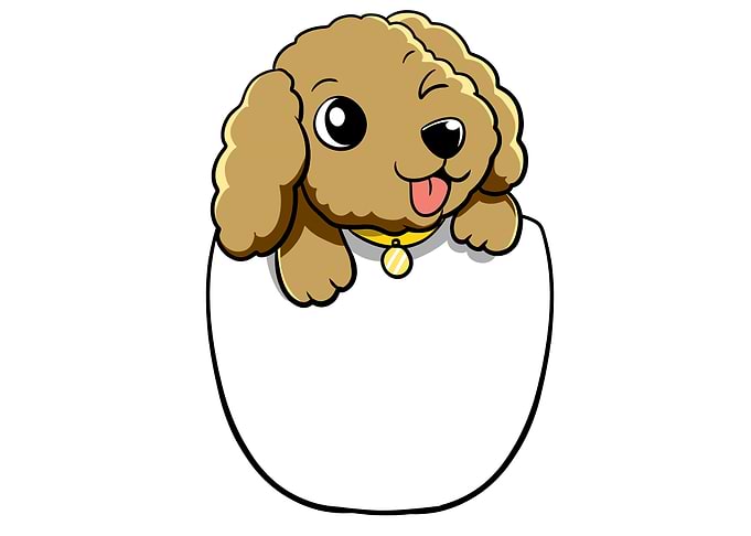 Pocket Dog